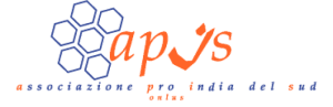 Logo APIS