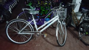 Modello bici