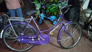 Modello bici