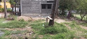 Area esterna