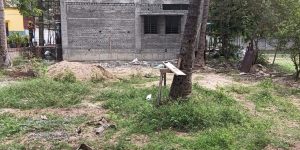 Area esterna