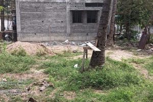 Area esterna